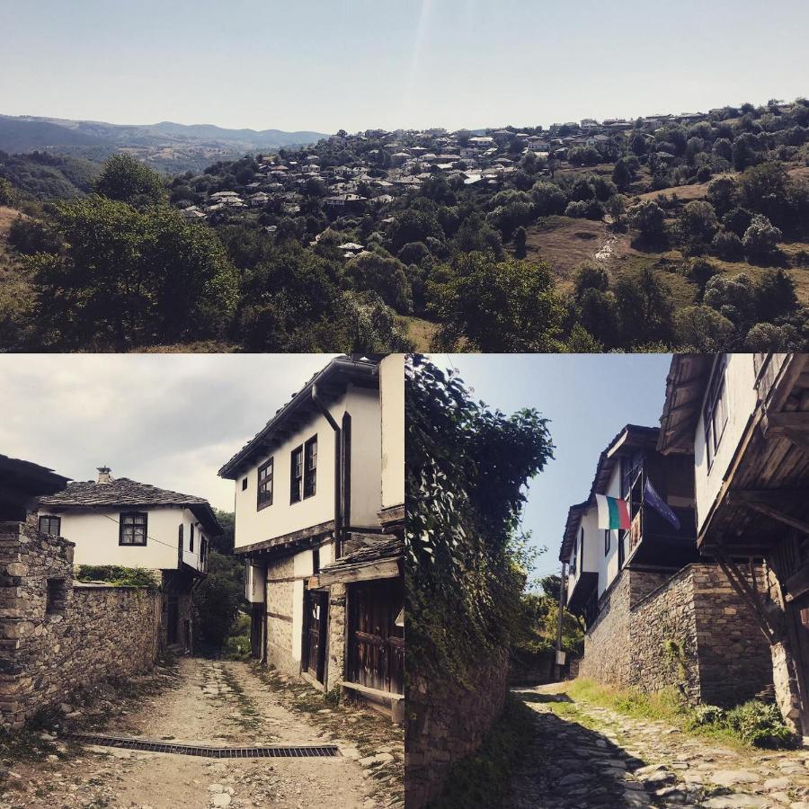 Sharkov Guest House Dolen Kültér fotó